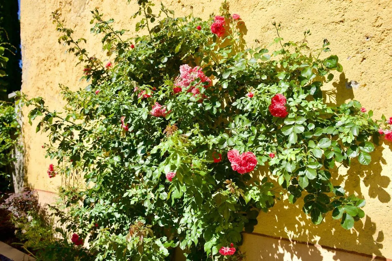 Hotel Il Portichetto Guest House Perledo